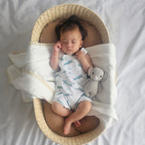 Ocean Turtle Short Leg Overalls