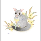 Possum Blossom Nursery Print A4